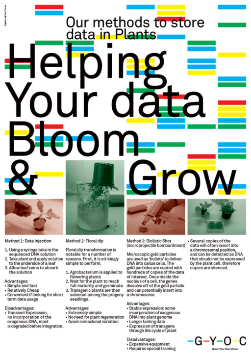 Grow Your Own Cloud — Data Garden
