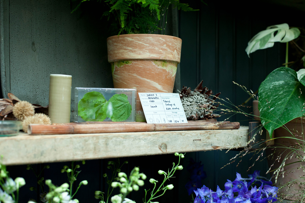 Grow Your Own Cloud — Data Flower Shop