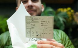 Grow Your Own Cloud